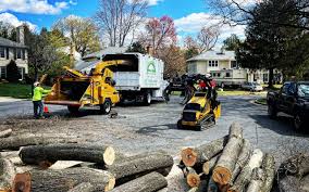 Best Utility Line Clearance  in Caddo, OK