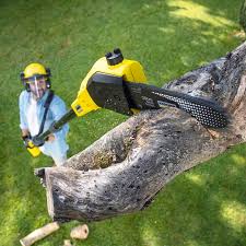 Best Pest Control for Lawns  in Caddo, OK