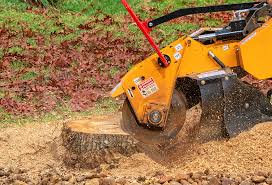 Best Lawn Watering Services  in Caddo, OK