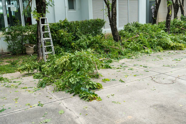 Best Leaf Removal  in Caddo, OK