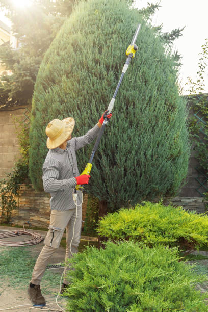 Best Lawn Maintenance Plans  in Caddo, OK